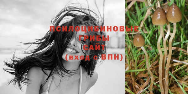 спайс Тихвин