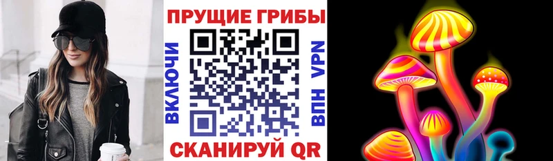 магазин    Кущёвская  Галлюциногенные грибы Magic Shrooms 