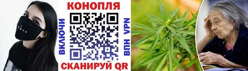 Канабис Amnesia Кущёвская